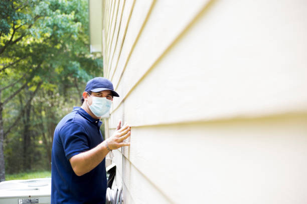 Affordable Siding Repair and Maintenance Services in Halfway, MD